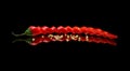 red chili pepper with seeds on a black background Royalty Free Stock Photo