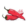 Red chili pepper sketch style vector illustration Royalty Free Stock Photo