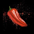 Red chili pepper with splashes isolated on black Royalty Free Stock Photo