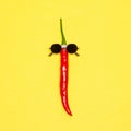 Red chili pepper in sunglasses - cool guy, party goer funny concept