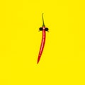 Red chili pepper in sunglasses on yellow background. Hot summer party creative concept Royalty Free Stock Photo