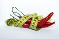 Red chili pepper Royalty Free Stock Photo