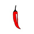 Red chili pepper, vector illustration Royalty Free Stock Photo