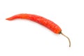 Red chili pepper on white background