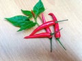 Red Chili pepper on wood table