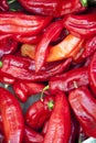 Red chili peppers Royalty Free Stock Photo