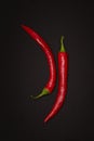 Red Chili peppers on a black background Royalty Free Stock Photo