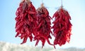 Red Chili Peppers bunches hanging at farmers market in New Mexico USA Royalty Free Stock Photo