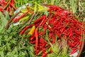 Red chili peppers, closeup view Royalty Free Stock Photo