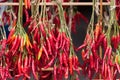 Red chili peppers drying on rack Royalty Free Stock Photo