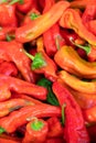 Red Chili Peppers in Espanola New Mexico USA Royalty Free Stock Photo