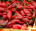 Red Chili Peppers At The Farmers Market.