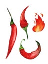 Red chili peppers and flame. Watercolor illustration Royalty Free Stock Photo