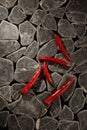 Red chili peppers on a grey stone background