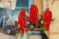 Red Chili Peppers hanging outdoor in the market Royalty Free Stock Photo