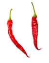 Red chili peppers isolated white background. Close-up Royalty Free Stock Photo