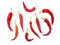 Red chili peppers isolated white background. Close-up Royalty Free Stock Photo