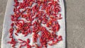 Red chili on roof in India farmer home