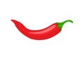 Red chili spicy pepper. Hot chili spice pepper vector icon illustration paprika cooking background