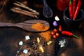 red chili and tomato, salt, garlic, rosemary on a dark wooden background ingredients for cooking cover cookbook asian cuisine,