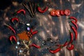 red chili and tomato, salt, garlic, rosemary on a dark wooden background ingredients for cooking cover cookbook asian cuisine,