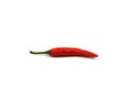 Red chili on white background Royalty Free Stock Photo