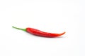 Red chili on white background, pepper