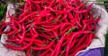 Red Chilie from traditional market Royalty Free Stock Photo