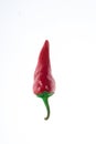 Red chilies