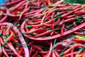 Red Chilies