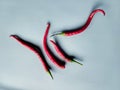 Red Chilies on a gray background