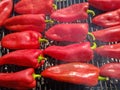 Red chilies pepper Kapia frying on an barbecue Royalty Free Stock Photo