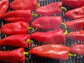 Red chilies pepper Kapia frying on an barbecue