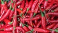 the red chilli background abstract wallpaper. vegetable, hot Royalty Free Stock Photo