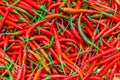 Red Chilli Background Royalty Free Stock Photo