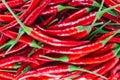 Red chilli background Royalty Free Stock Photo