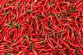 Red chilli background Royalty Free Stock Photo