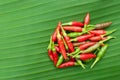 Red chilli on banana leaf Royalty Free Stock Photo