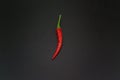 Red chilli on black background using fresh red. It has spicy., food concept. Royalty Free Stock Photo