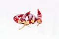 Red chilli,dried red chilli. Royalty Free Stock Photo