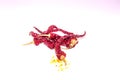 Red chilli,dried red chilli. Royalty Free Stock Photo