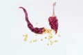 Red chilli,dried red chilli. Royalty Free Stock Photo