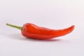 RED CHILLI HOT SPICY INGRIDIENT FRESH