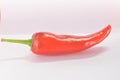 RED CHILLI HOT SPICY INGRIDIENT FRESH