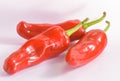 RED CHILLI HOT SPICY INGRIDIENT FRESH