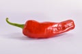 RED CHILLI HOT SPICY INGRIDIENT FRESH