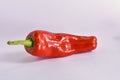 RED CHILLI HOT SPICY INGRIDIENT FRESH