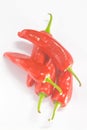 RED CHILLI HOT SPICY INGRIDIENT FRESH