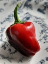 Red chilli hotpepper