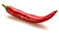 Chilli Pepper Royalty Free Stock Photo